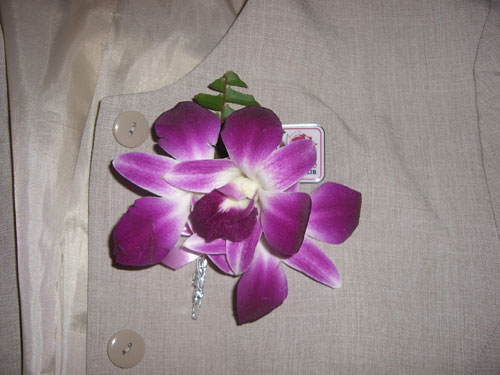 Orchideen für Jeden auch als Abschiedsgeschenk im Flieger